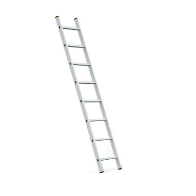 ALDOTRADE Žebřík Al jednodílný Profi 1x8